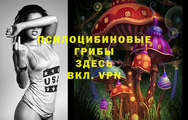 spice Богородицк