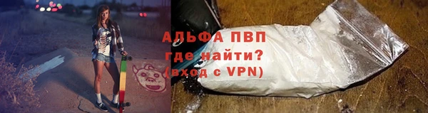 spice Богородицк