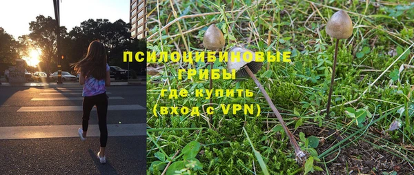 не бодяженный Богданович