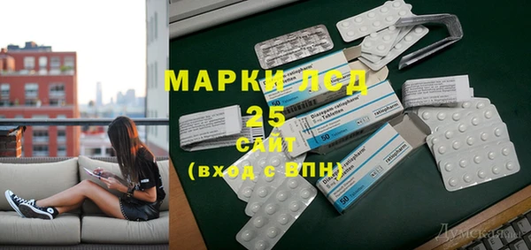 spice Богородицк