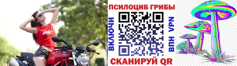 Галлюциногенные грибы Magic Shrooms  Дзержинский 
